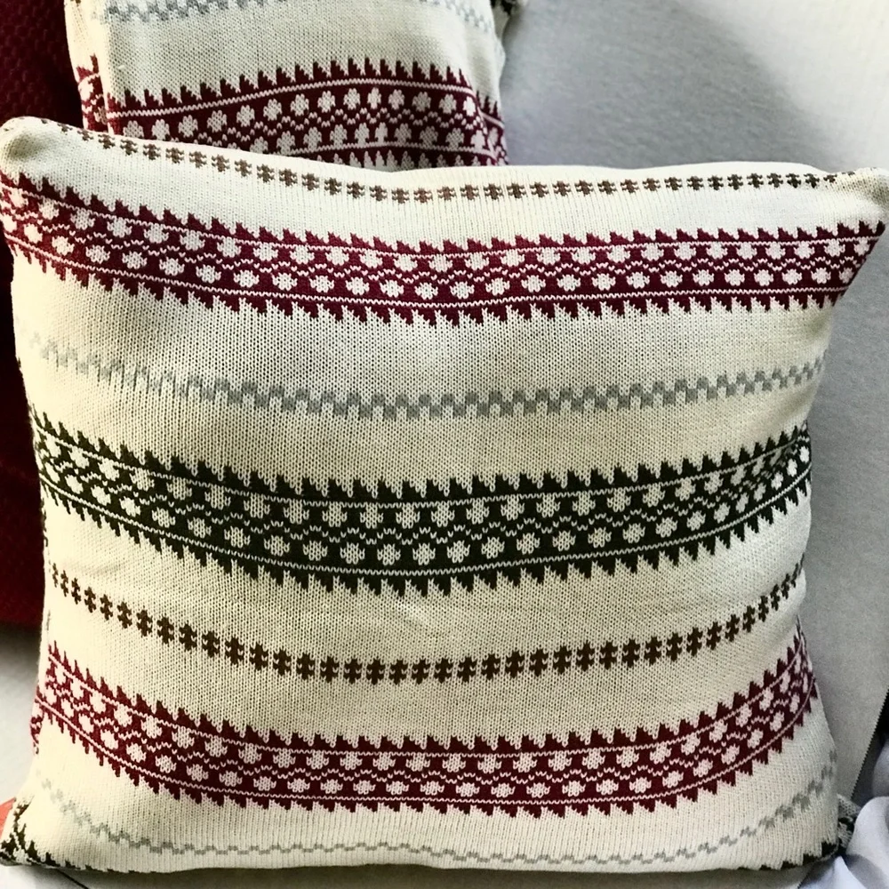 NWOT Reversible Throw Blanket and matching Pillow Cover